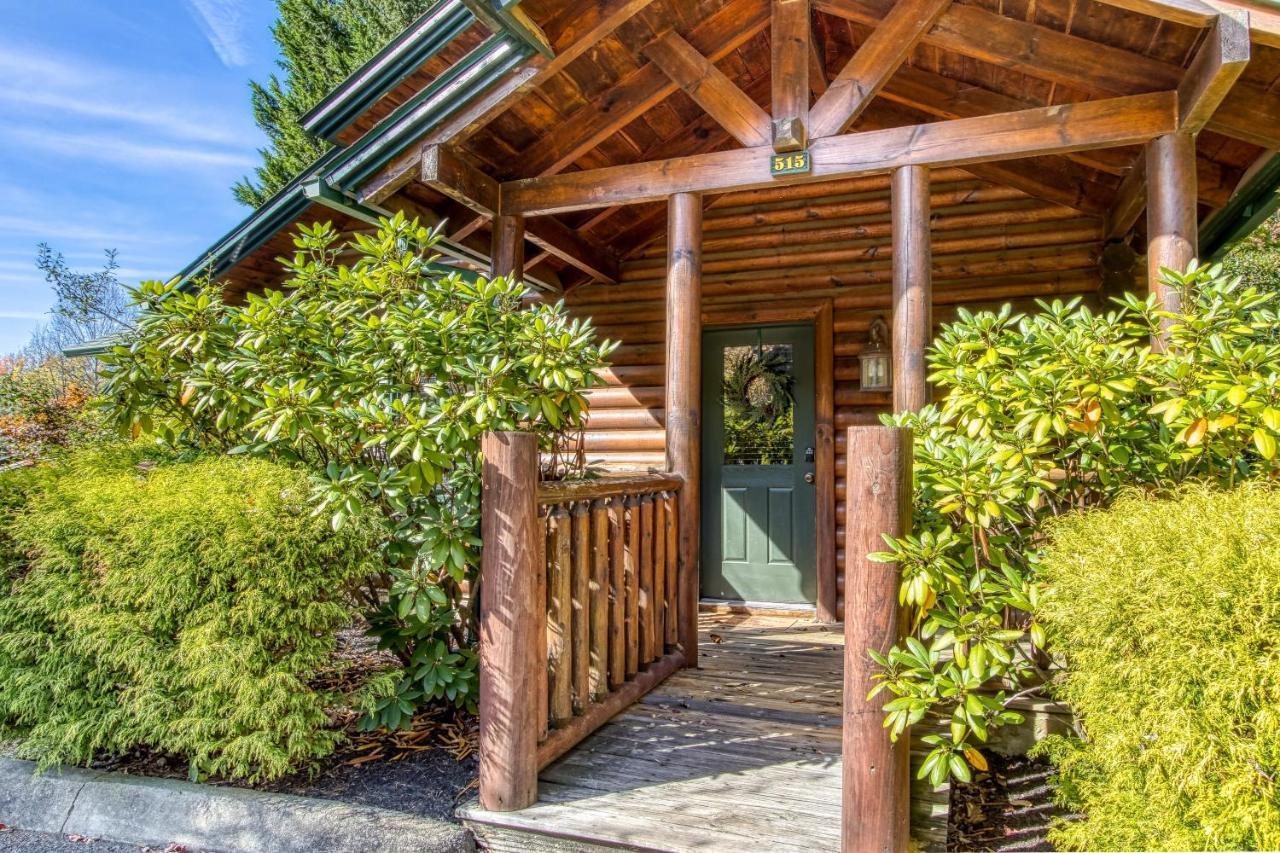 Dog Friendly, Romantic Mtn Getaway Hot Tub Pool Gatlinburg Luaran gambar