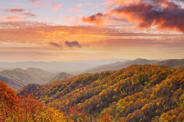 Dog Friendly, Romantic Mtn Getaway Hot Tub Pool Gatlinburg Luaran gambar
